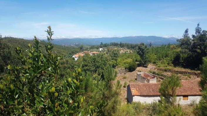 Image No.9-Ferme à vendre à Oleiros