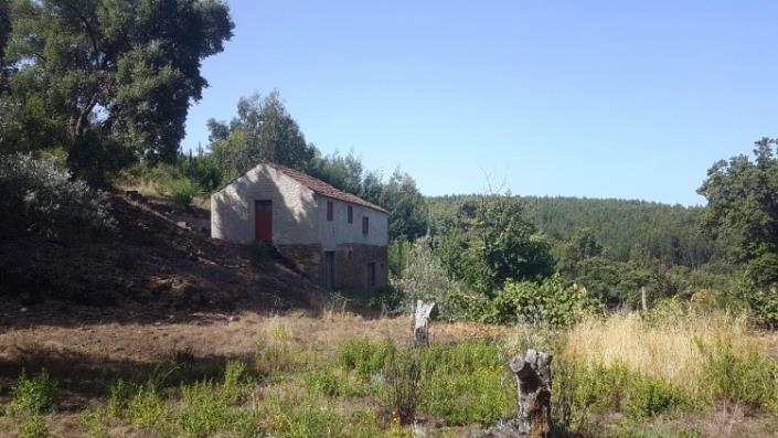 Image No.12-Ferme à vendre à Oleiros