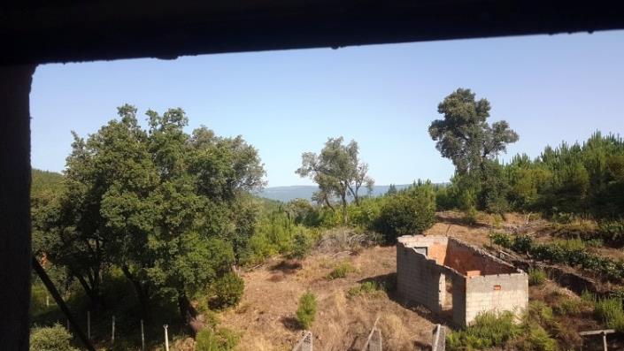 Image No.29-Ferme à vendre à Oleiros