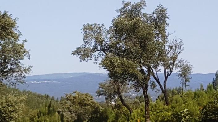 Image No.30-Ferme à vendre à Oleiros