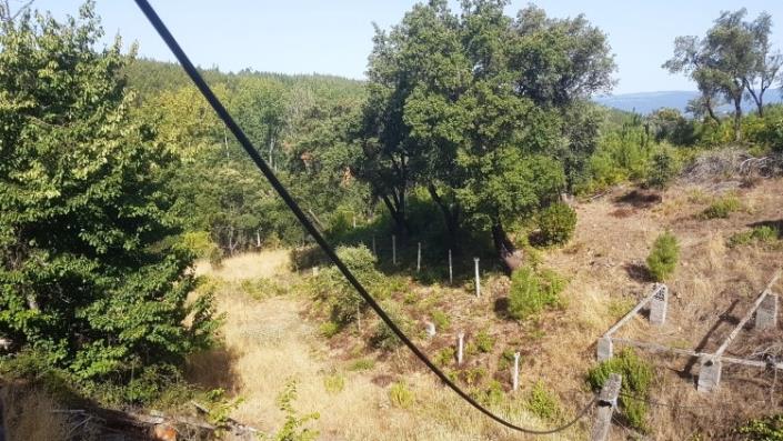 Image No.32-Ferme à vendre à Oleiros