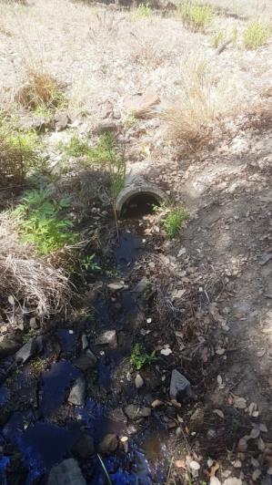 Image No.38-Ferme à vendre à Oleiros