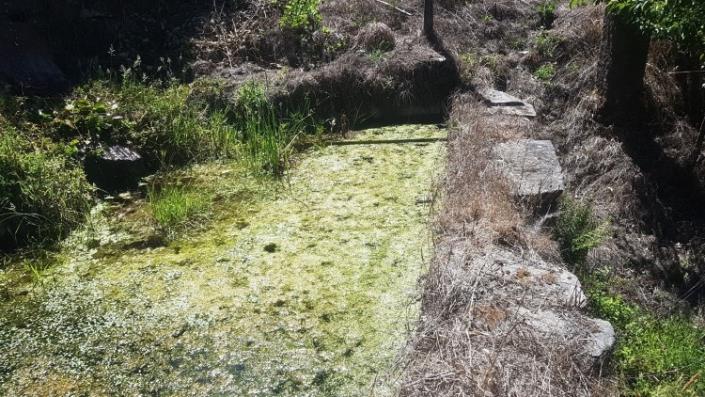 Image No.40-Ferme à vendre à Oleiros