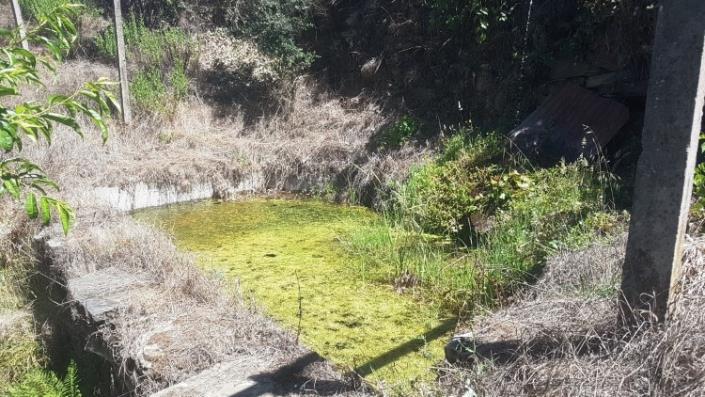 Image No.41-Ferme à vendre à Oleiros