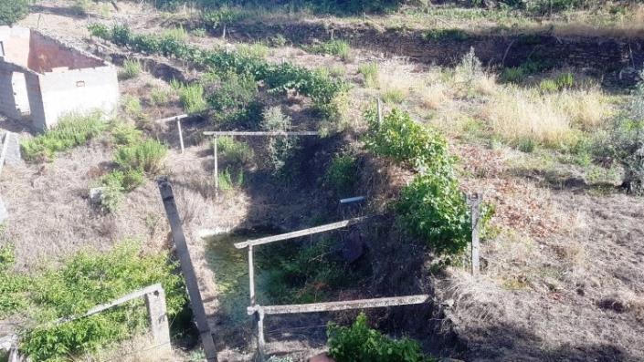 Image No.51-Ferme à vendre à Oleiros