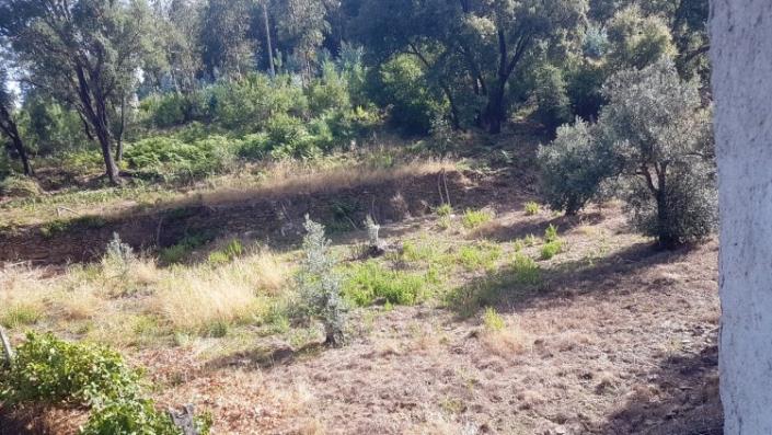 Image No.52-Ferme à vendre à Oleiros