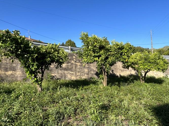 Image No.29-Maison de 4 chambres à vendre à Figueiró dos Vinhos