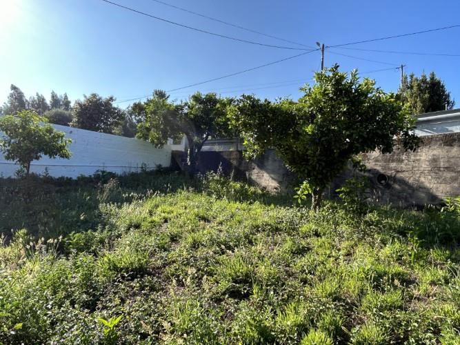 Image No.30-Maison de 4 chambres à vendre à Figueiró dos Vinhos