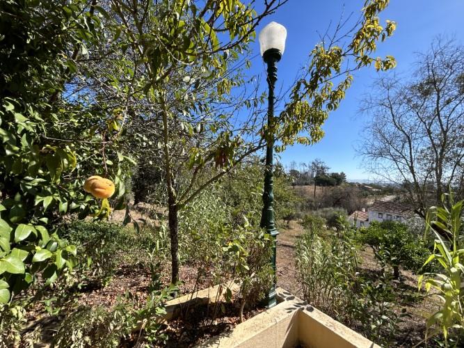 Image No.35-Maison de 4 chambres à vendre à Pombal