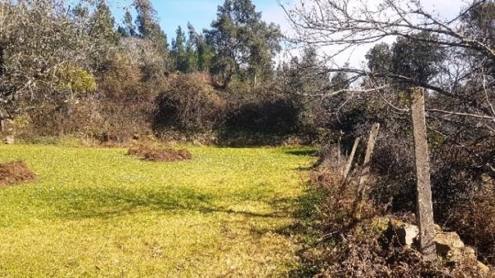 Image No.2-Terre à vendre à Pedrógão Grande