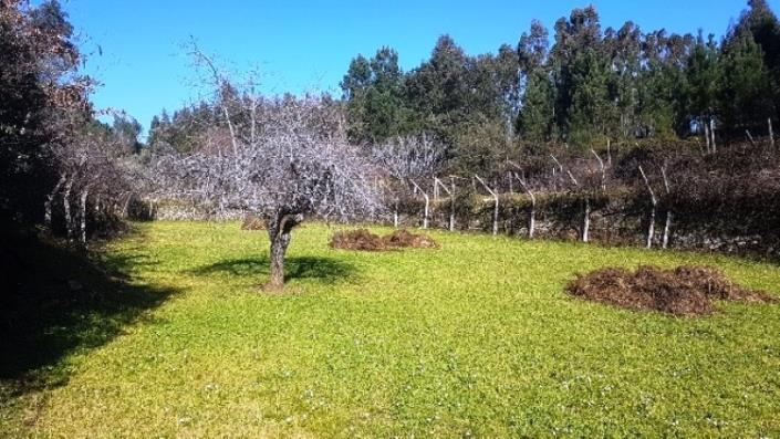 Image No.3-Terre à vendre à Pedrógão Grande