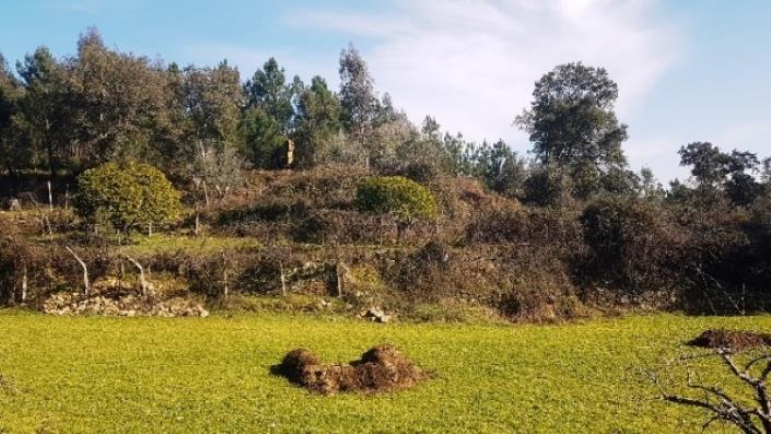 Image No.4-Terre à vendre à Pedrógão Grande