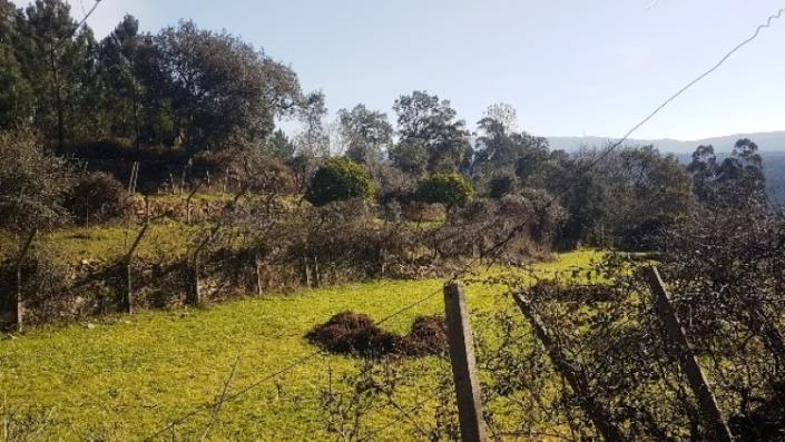 Image No.8-Terre à vendre à Pedrógão Grande