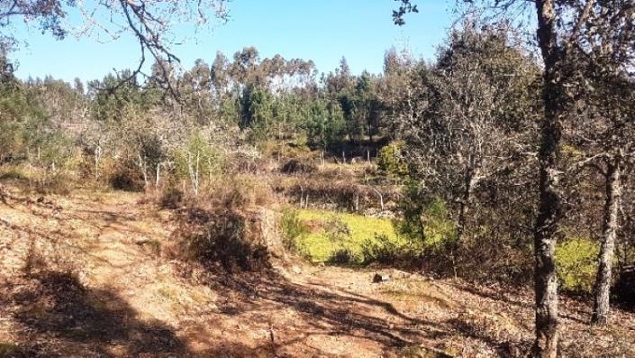 Image No.10-Terre à vendre à Pedrógão Grande