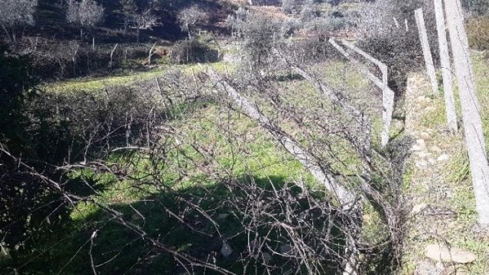 Image No.13-Terre à vendre à Pedrógão Grande