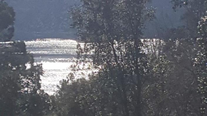 Image No.22-Terre à vendre à Pedrógão Grande