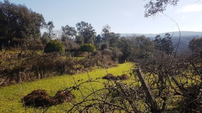 Image No.23-Terre à vendre à Pedrógão Grande