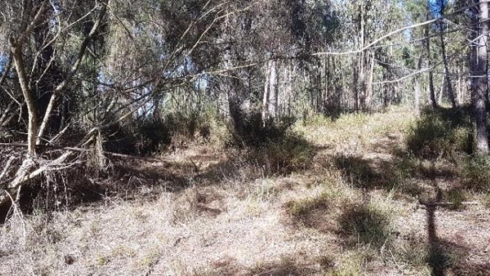 Image No.24-Terre à vendre à Pedrógão Grande