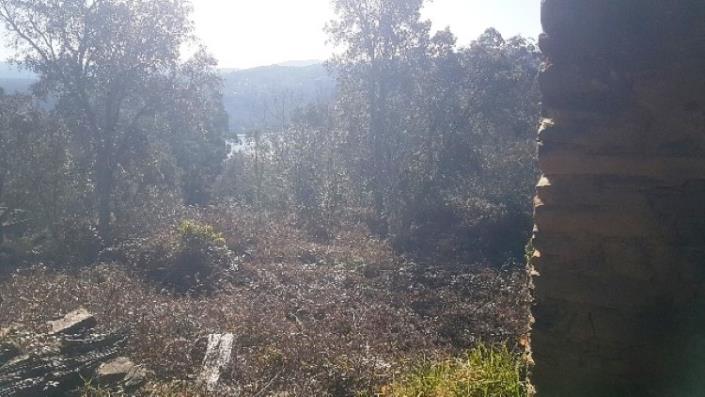 Image No.27-Terre à vendre à Pedrógão Grande