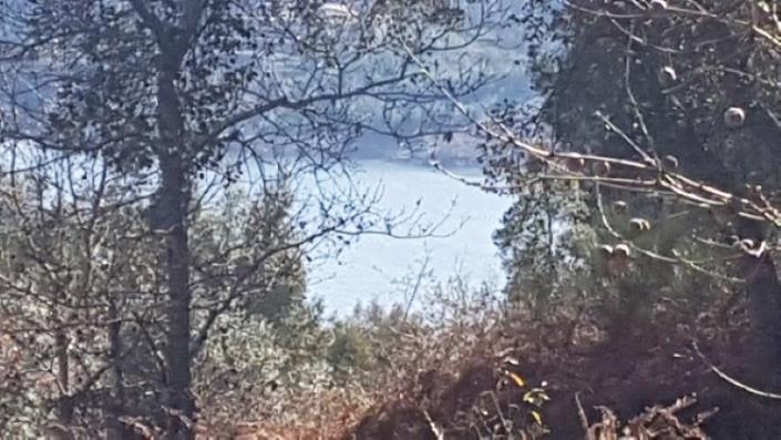 Image No.29-Terre à vendre à Pedrógão Grande