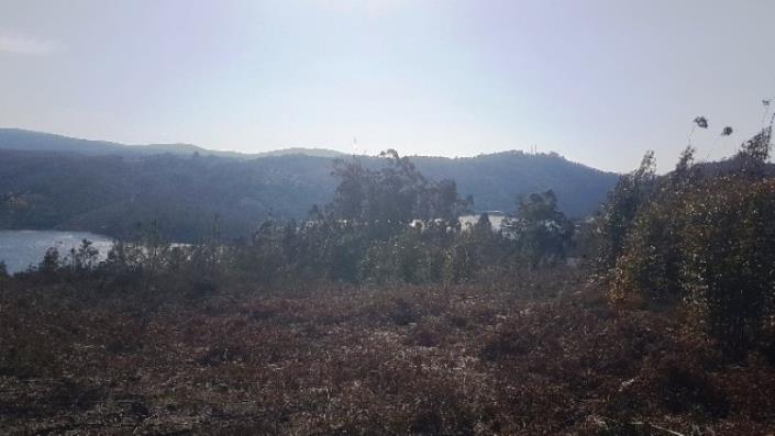 Image No.31-Terre à vendre à Pedrógão Grande