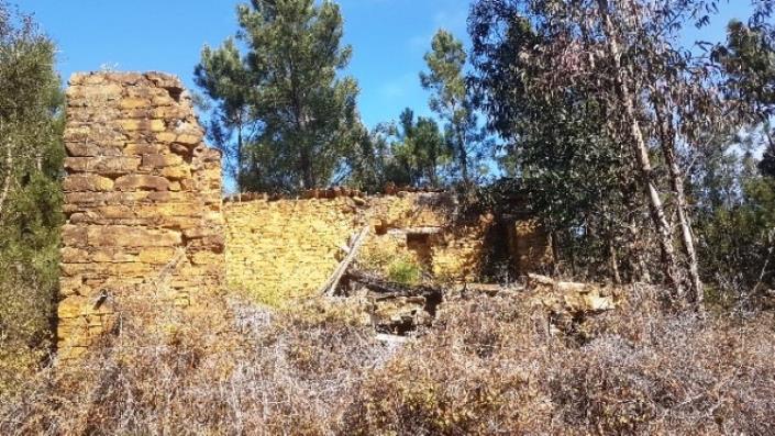 Image No.32-Terre à vendre à Pedrógão Grande