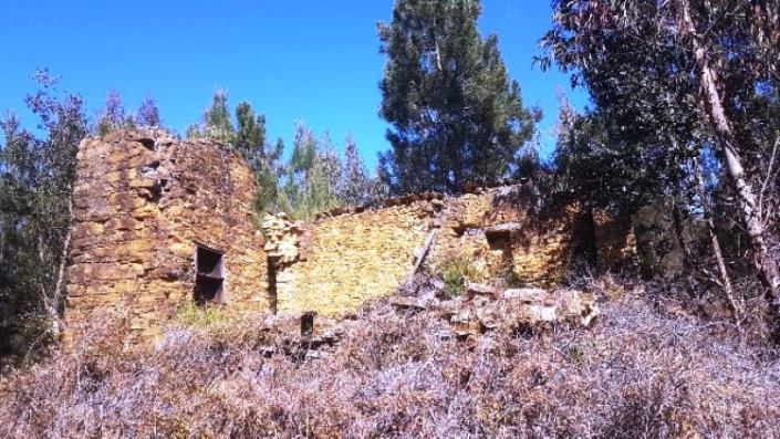 Image No.33-Terre à vendre à Pedrógão Grande