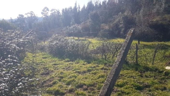 Image No.34-Terre à vendre à Pedrógão Grande