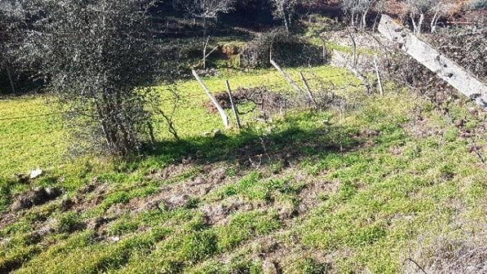 Image No.35-Terre à vendre à Pedrógão Grande