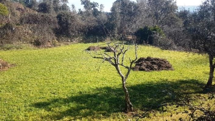 Image No.37-Terre à vendre à Pedrógão Grande