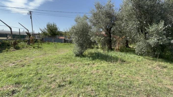 Image No.6-Land for sale