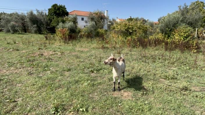 Image No.8-Land for sale