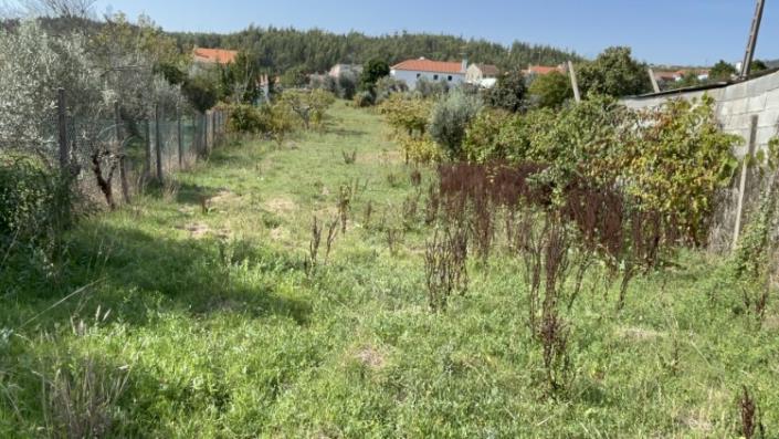 Image No.10-Land for sale