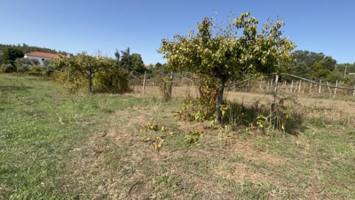 Image No.11-Land for sale