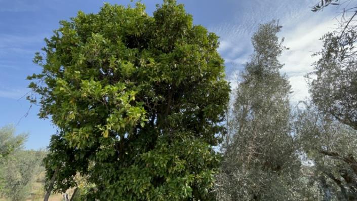 Image No.16-Land for sale