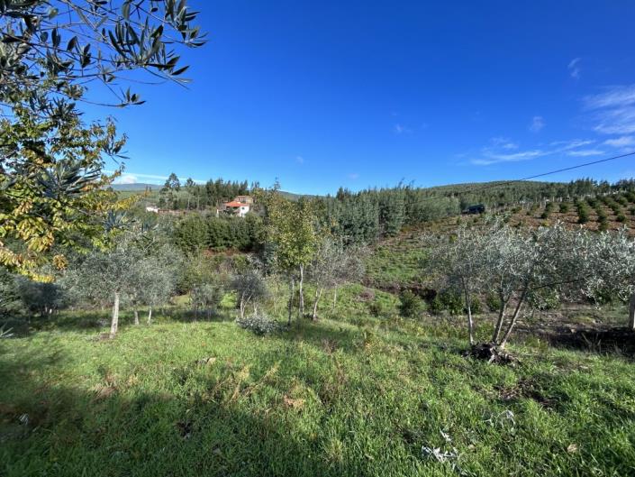 Image No.23-Village House for sale