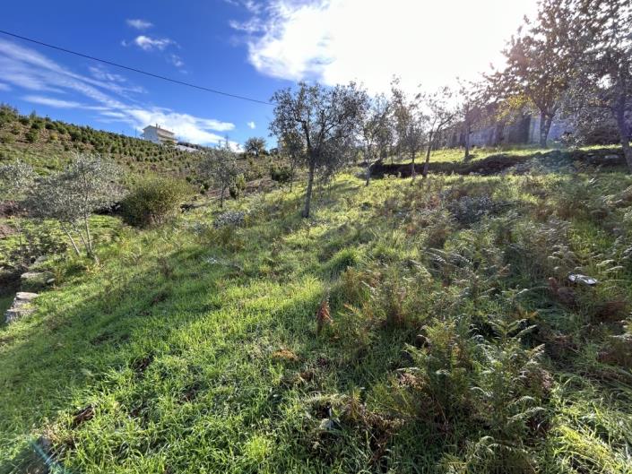 Image No.24-Village House for sale