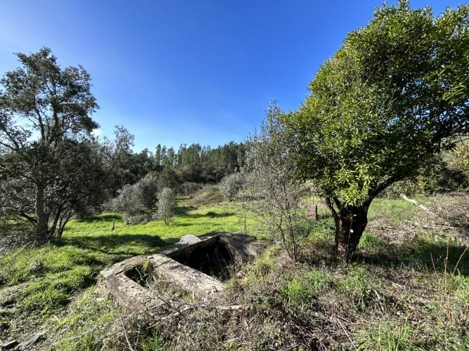 Image No.43-4 Bed Farmhouse for sale