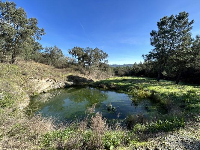 Image No.47-4 Bed Farmhouse for sale