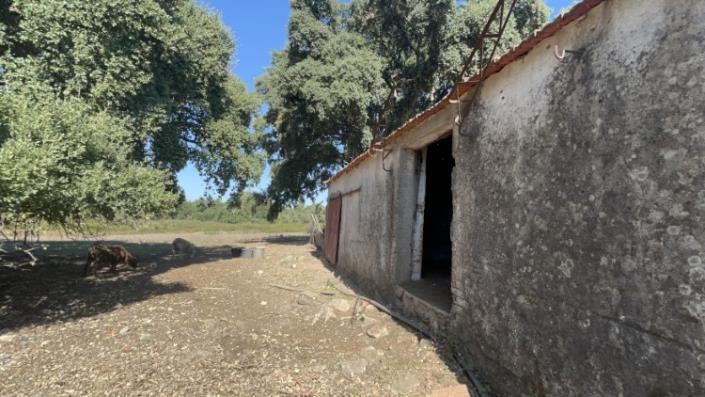 Image No.16-Property for sale