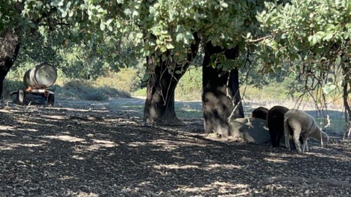 Image No.19-Property for sale