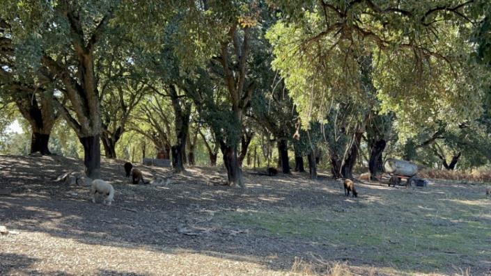 Image No.20-Property for sale