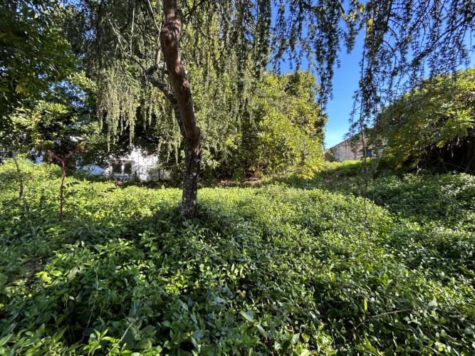 Image No.35-Manoir de 8 chambres à vendre à Pedrógão Grande