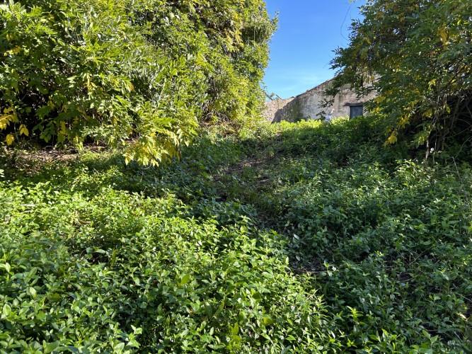 Image No.36-Manoir de 8 chambres à vendre à Pedrógão Grande