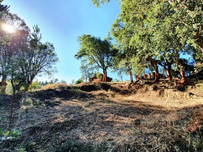 Image No.5-Terre à vendre à Pedrógão Grande