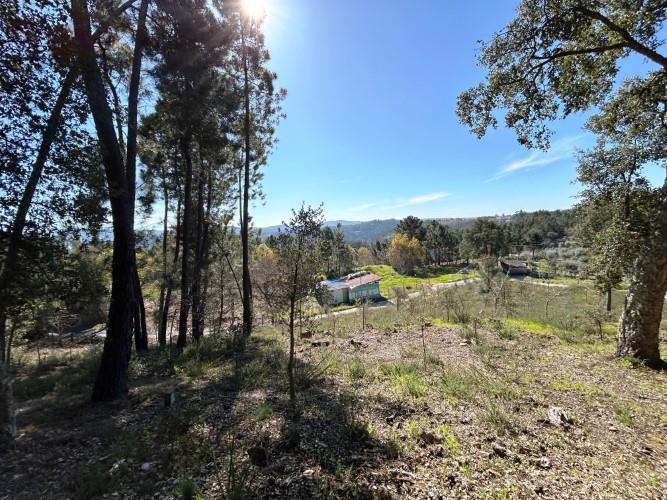 Image No.6-Terre à vendre à Pedrógão Grande