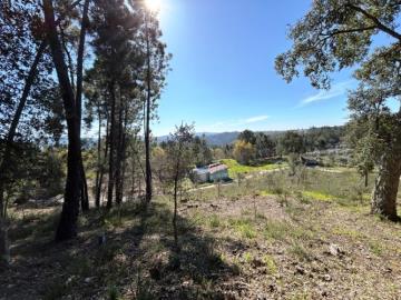 5---1199--NEW---Custom-