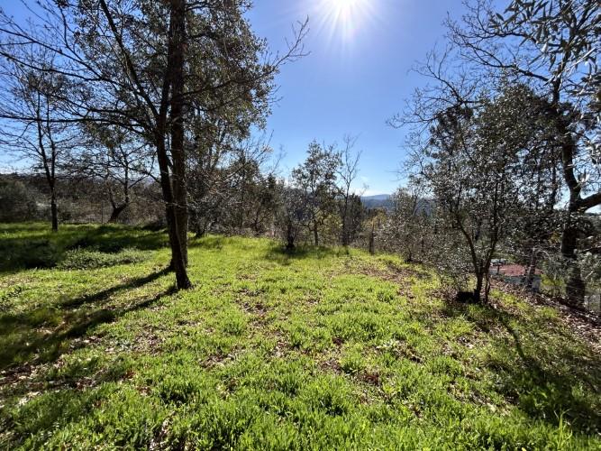 Image No.7-Terre à vendre à Pedrógão Grande