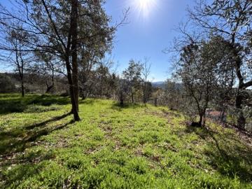 6---1199--NEW---Custom-