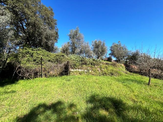 Image No.8-Terre à vendre à Pedrógão Grande